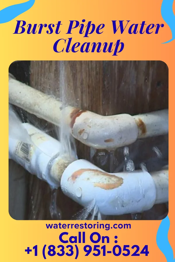 Burst Pipe Water Cleanup in Barrville, PA