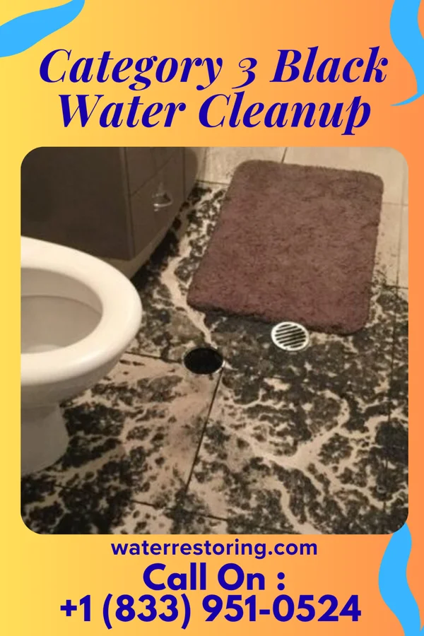 Category 3 Black Water Cleanup in Barrville, PA