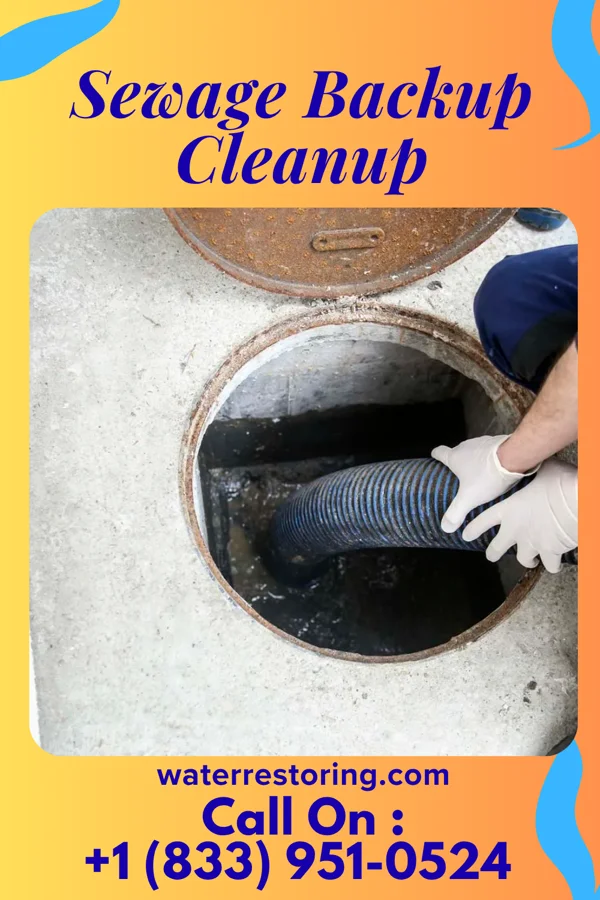 Sewage Backup Cleanup in Barrville, PA