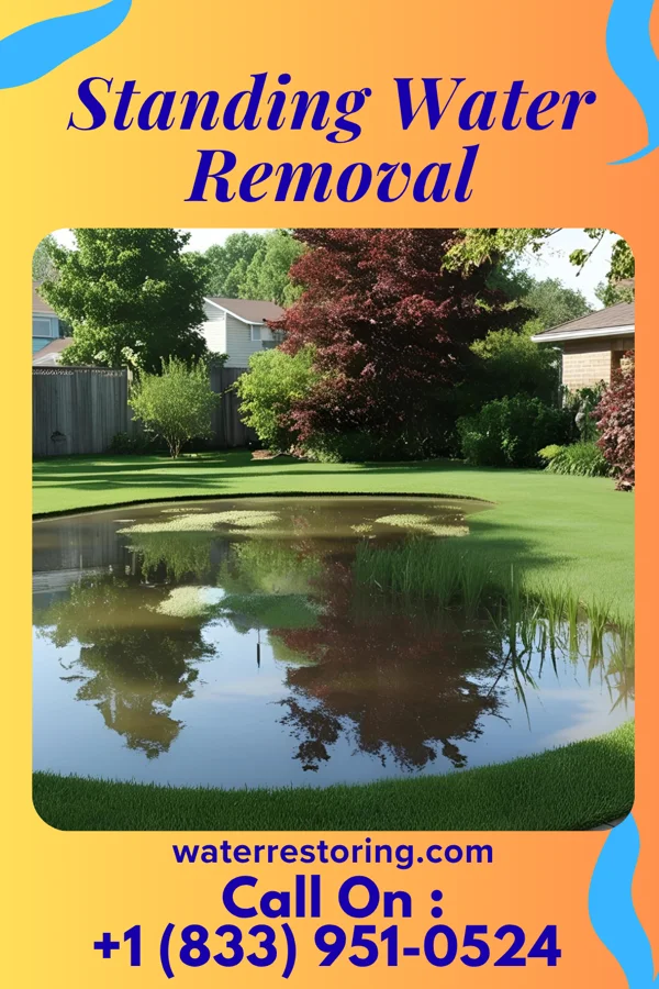 Standing Water Removal in Barrville, PA